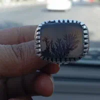 انگشتر شجر قائن