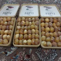 ظرف پلاستیکی مخصوص خرما|ظروف نگهدارنده، پلاستیکی، یک‌بارمصرف|بوشهر, |دیوار