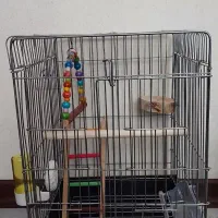 قفس پرنده
