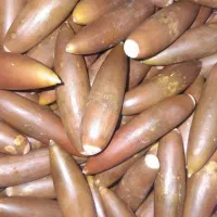 بلوط|عمده‌فروشی|شاهیوند, |دیوار