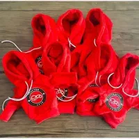 هودی دنده تیم تراکتور آذربایجان