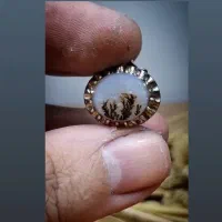 انگشتر شجر قائنات زنده و اصل|جواهرات|رشت, حافظ آباد|دیوار