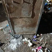 گاو صندوق