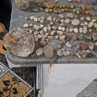 جواهرات|جواهرات|رشت, انصاری|دیوار