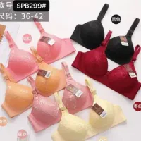 سوتین شورت|لباس|اسفراین, |دیوار