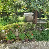 اجار-کوتاه-مدت-یا-روزانه