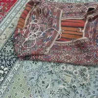 قالی دست باف|فرش|بوئین زهرا, |دیوار