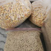 درخواست نیرو کارگر(مرد)