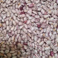 برنج حبوبات (با چک دو ماهه)