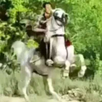 پانسیون آموزش و نگهداری اسب