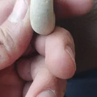 سنگ فسیل|کلکسیون اشیاء عتیقه|کرج, حسن آباد|دیوار