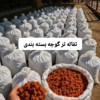 تفاله تر و خشک خوراک دام و طیور فله و بسته بندی