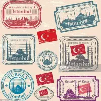 آموزش ترکی استانبولی و انگلیسی (گروهی و خصوصی)