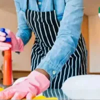 خانم جهت امور منزل