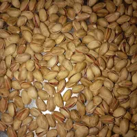 پسته بذری|گل و گیاه طبیعی|صفی آباد, |دیوار