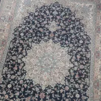 در جد نو