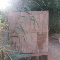 قفس  فروشی|لوازم جانبی حیوانات|امیدیه, |دیوار