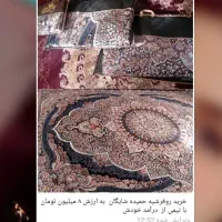 درآمد بالا زندگی بهتر
