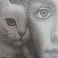 ترام نقطه چهره