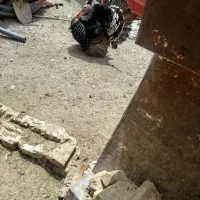بوقلمون چاق