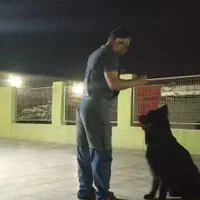 مربی سگ. آموزش سگ. پانسیون سگ