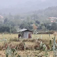 فروش سیم کارت رندتهران ۳۰۰۰۰۰۰۰۰میلیون