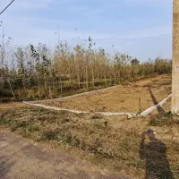 219متر-زمین-دوبر-چسبیده-به-آسفالت-تک-پلاک-مونده