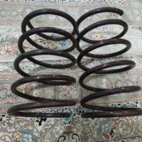 برژینگ فنرلول و دلق شفاف سنتر 55