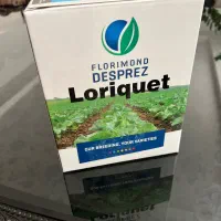 فروش و خرید انواع بذرهای چغندر قند