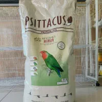 پلت سیتاکوس مخصوص گرینچیک عروس هلندی راهب کوتوله