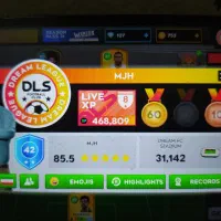 اکانت DLS|کنسول، بازی ویدئویی و آنلاین|قرچک, مهدیه|دیوار