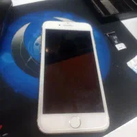 آیفون 7|موبایل|قم, پردیسان|دیوار