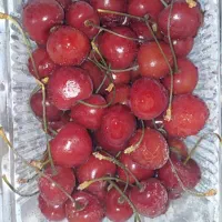 میوه های خارج فصل منجمد