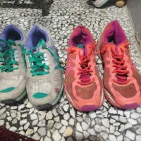 دوهفته کتنی خروجی تنااکورا