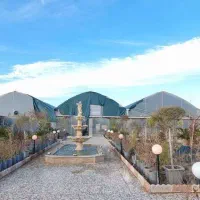 اجاره گلخانه تمام صنعتی فول امکانات|اجارهٔ دفتر صنعتی، کشاورزی، تجاری|ساری, |دیوار