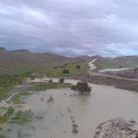 ایده نو  و مشارکت در کارافرینی