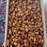 قصب زاهدی درجه دو