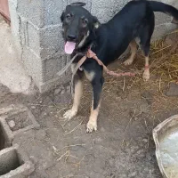 قیمت توافقی