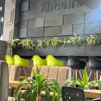 صندوقدار و کانتر کار خانم