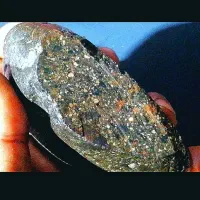 شهاب سنگ قمری. مریخی|جواهرات|تهران, آزادشهر|دیوار