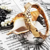 فروشگاه بدلیجات آمیتیس) دستبند النگویی|بدلیجات|تبریز, |دیوار