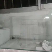 دوعدد آکواریوم در حد نو|ماهی|لنگرود, |دیوار