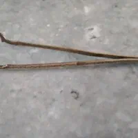 انبر برنزی