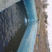 باغ|فروش خانه و ویلا|اشتهارد, |دیوار