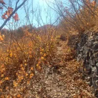 وشنوه (700متر زمین فندق در هده رود)قابل معاوضه|فروش زمین و ملک کلنگی|قم, سالاریه|دیوار