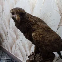مجسمه‌عقاب‌برنز اصل تایلند
