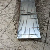 قفس جوجه پران با کفی گالوانیزه
