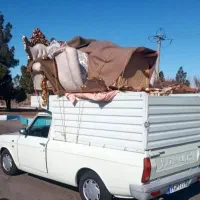 باربری وانت