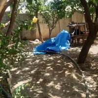 ۶۰۰ متر در روستای چناران ۴۰ کیلومتری تهران|فروش زمین و ملک کلنگی|تهران, تهرانپارس شرقی|دیوار