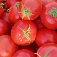 گوجه گوشتی ترش